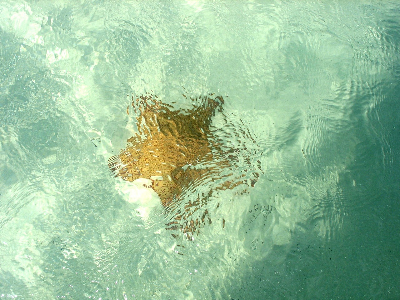 What Lies Beneath